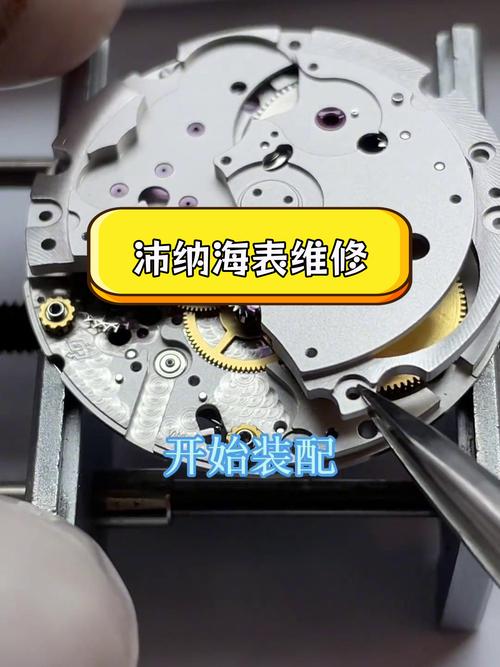 沛納海維修天津，沛納海維修視頻