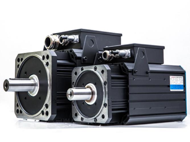 溫州三相伺服電機 溫州三相伺服電機