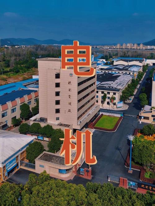 皖南電機股份有限公司，皖南電機在國內排名