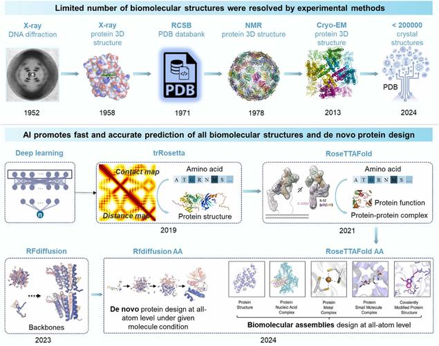 驅動蛋白種類，驅動蛋白家族