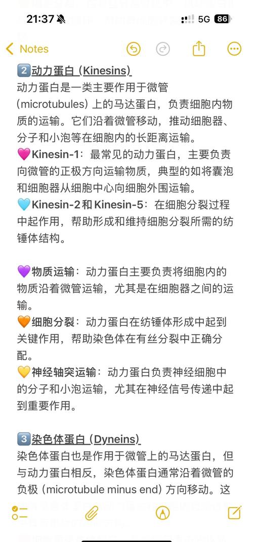 驅動蛋白種類，驅動蛋白家族